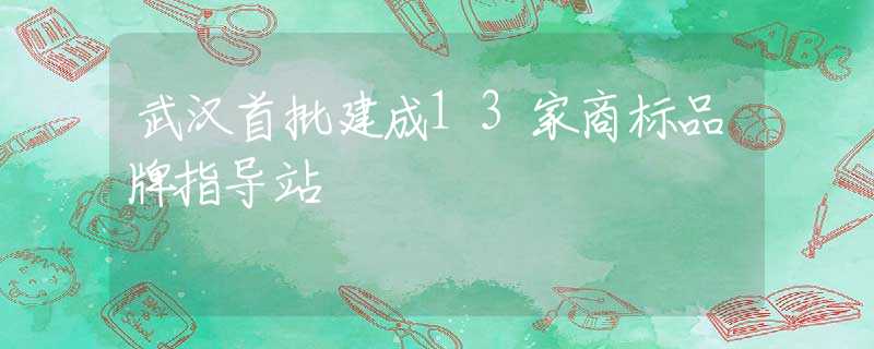 武汉首批建成13家商标品牌指导站