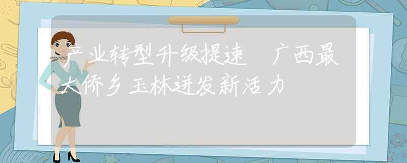 产业转型升级提速 广西最大侨乡玉林迸发新活力