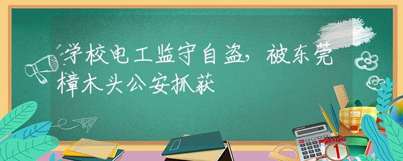 学校电工监守自盗，被东莞樟木头公安抓获