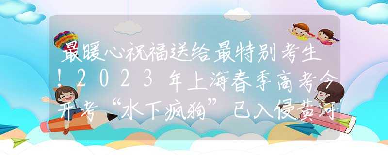 最暖心祝福送给最特别考生！2023年上海春季高考今开考“水下疯狗”已入侵黄河？性格暴戾带獠牙，在野外也能活到70岁？