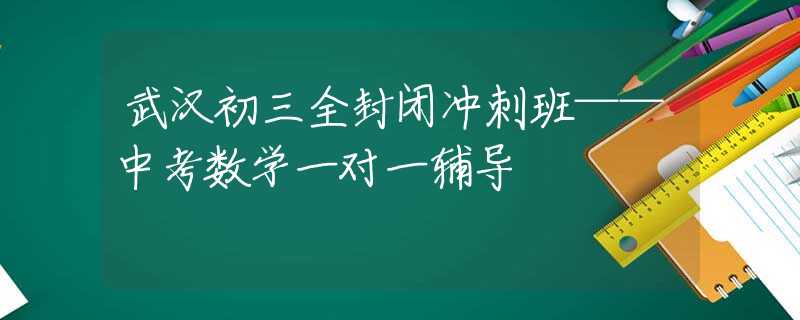 武汉初三全封闭冲刺班——中考数学一对一辅导