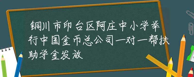 铜川市印台区阿庄中小学举行中国金币总公司一对一帮扶助学金发放