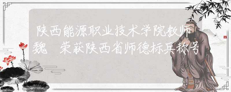 陕西能源职业技术学院教师魏頔荣获陕西省师德标兵称号