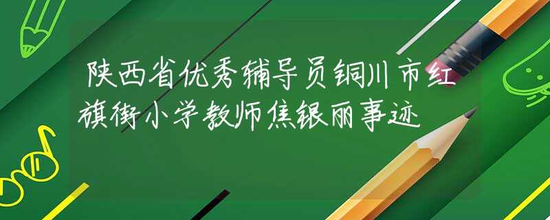 陕西省优秀辅导员铜川市红旗街小学教师焦银丽事迹